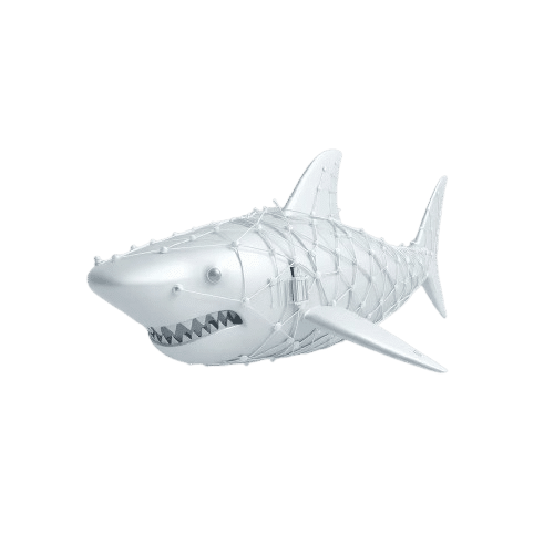 WireShark Image